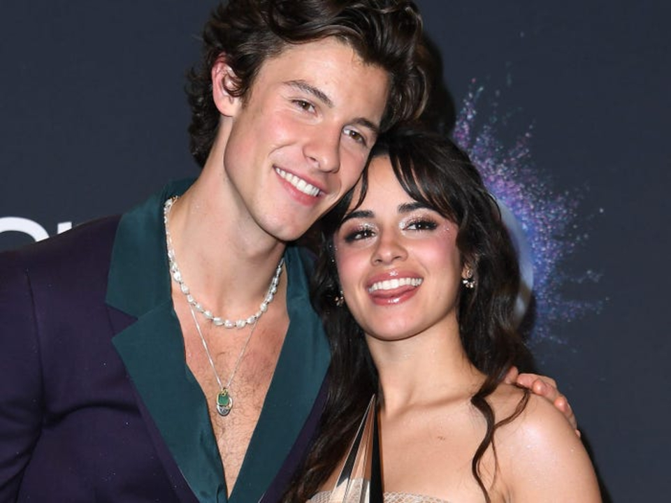 Camila Cabello and Shawn Mendes have been dating for over a year.