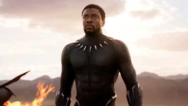Chadwick Boseman played Black Panther in the Oscar-winning MCU movie of the same name.