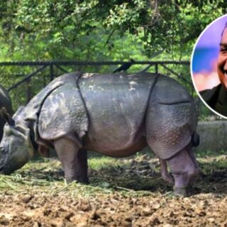 India's Richest Ambani Family Unveil Plan to Build World's Biggest Zoo