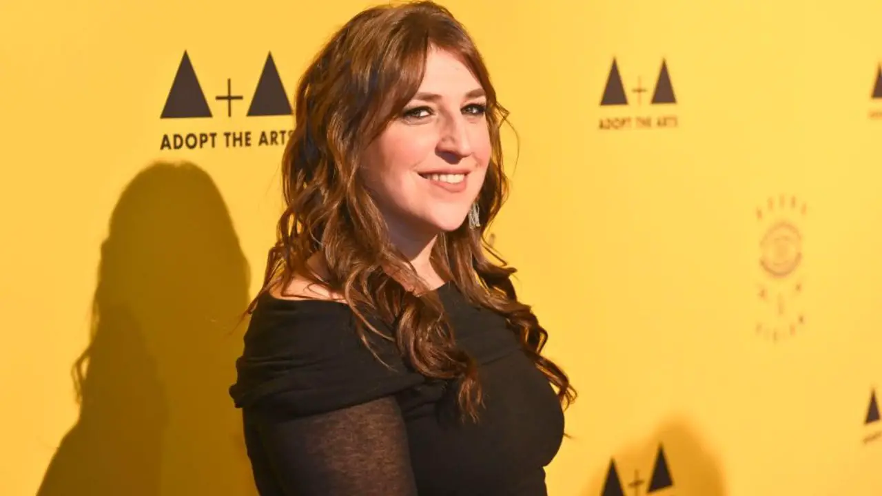The Big Bang Theory Star Mayim Bialik Never Watched the Show Before Joining