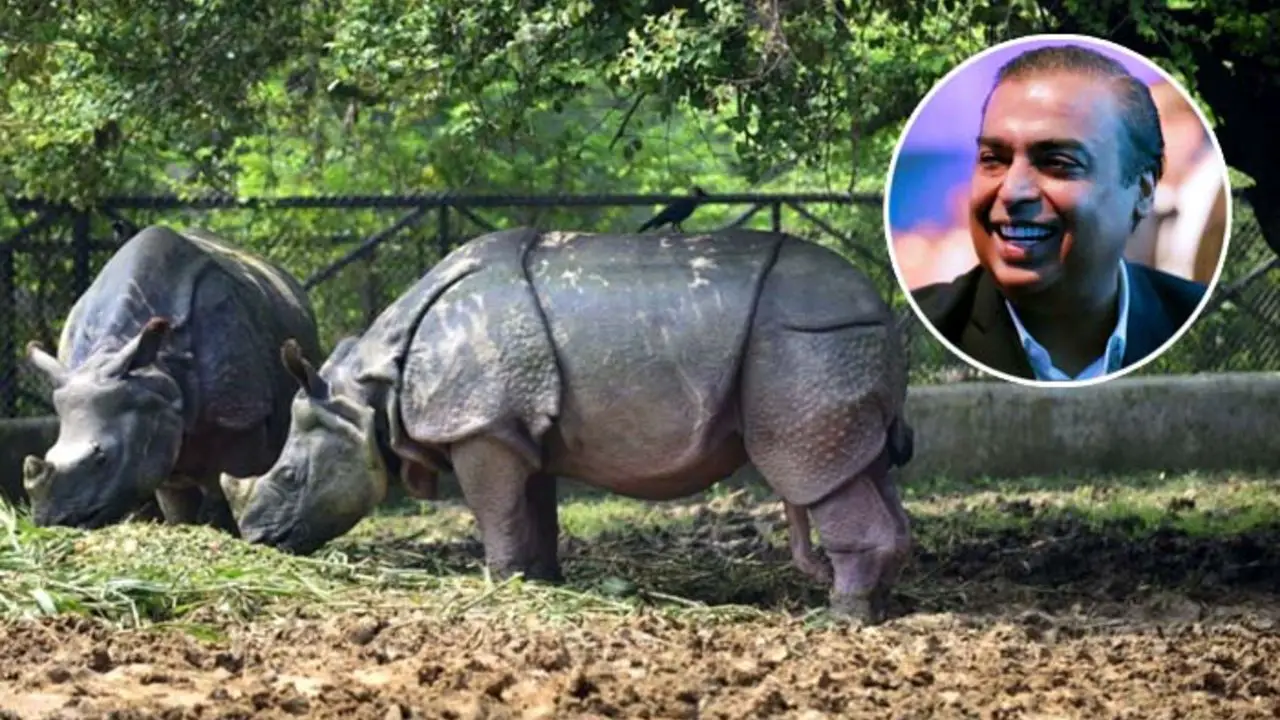 India's Richest Ambani Family Unveil Plan to Build World's Biggest Zoo